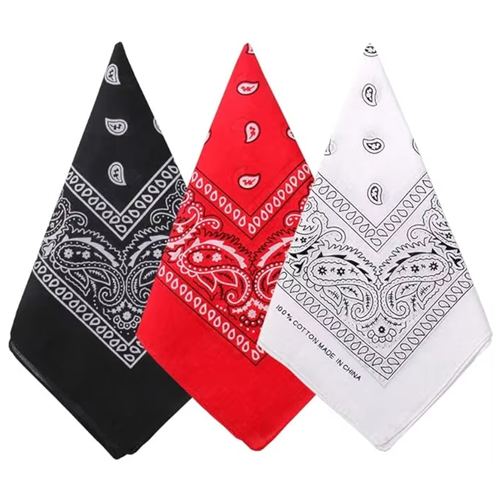 Hip Hop Cowboy Paisley écharpe - Bandana Blank White avis et prix
